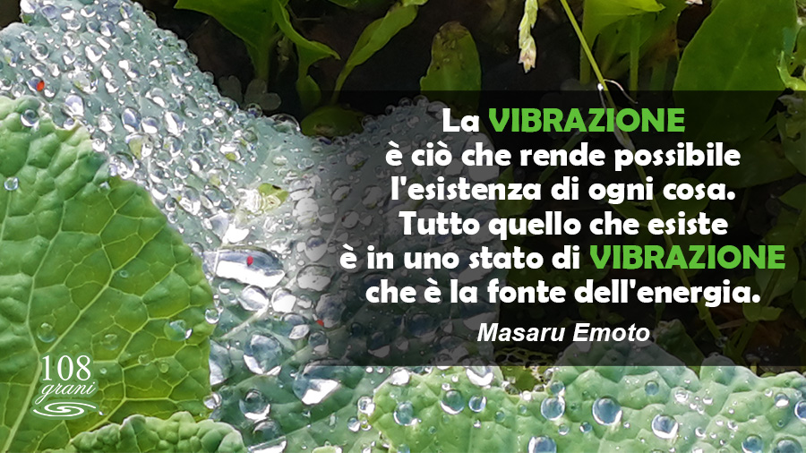 Frasi E Citazioni Di Masaru Emoto 108 Grani Ho Oponopono